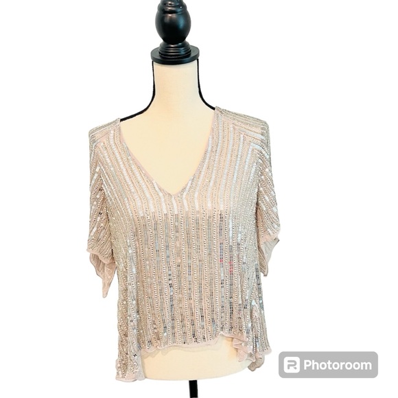 - Parker Silver Sequin Beaded  Blush Silk Blouse L - Picture 2 of 12